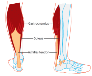 Strong calves discount