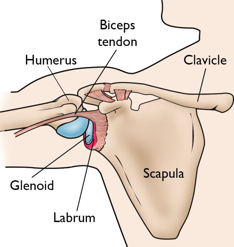 glenoid-labrum-tear-treatment-las-vegas-bullhead-city-mesquite-nevada